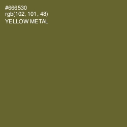 #666530 - Yellow Metal Color Image